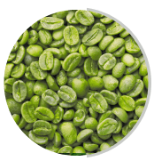 White bean extract ingredient