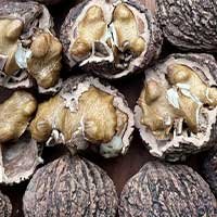 Black walnut ingredient